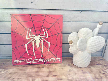 cadre 3D HEROS Marvel Comics Spiderman hulk